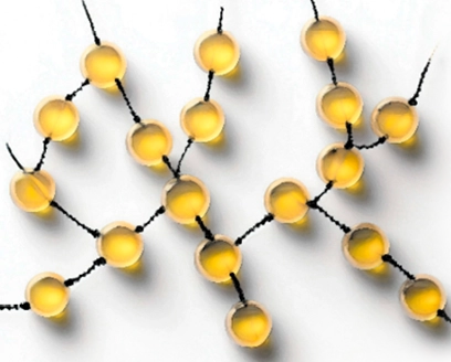 Analysis of dextran using an AZURA® SEC System Analysis of dextran using an AZURA® SEC System