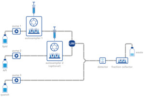 Flow scheme of the IJM NanoScaler Pro