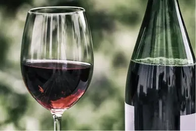 Comparison of organic compounds in natural wine, red wine and grape juice by HPLC