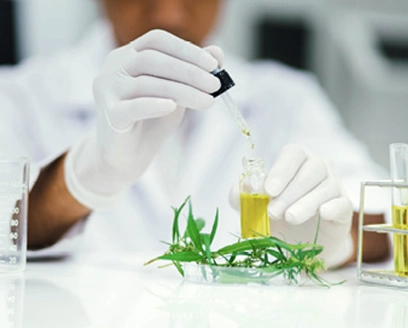 Development of an SMB process for the purification of CBD from a CBD-rich cannabis extract